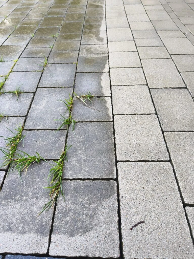 kostka bauma bielsko